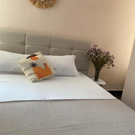 Sofia 3